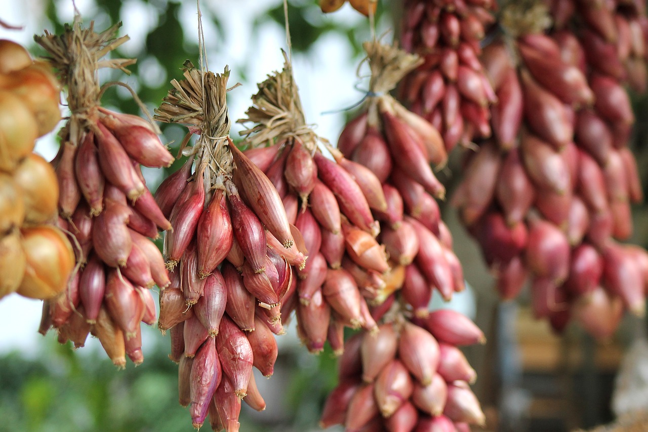 The Benefits of Urban Gardening - Grow Your Own Food